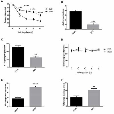 The Expression of Hippocampal NRG1/ErbB4 Correlates With Neuronal Apoptosis, but Not With Glial Activation During Chronic Cerebral Hypoperfusion